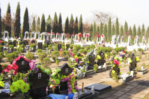 青龙岗纪念园墓区图