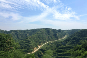 黄河纪念公园景观图