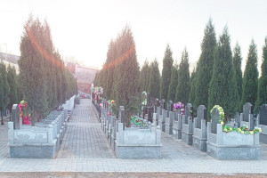 巩义市凤凰山公墓墓区环境图