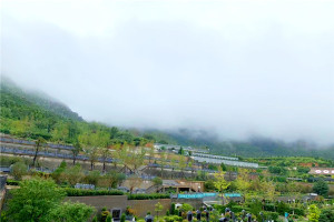 郑州市登封市嵩山公墓墓区环境图