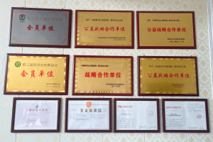 黄河纪念公园荣誉墙